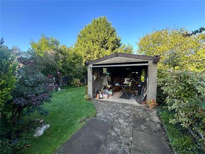 Picture 19